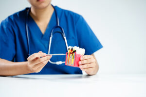 Dentist explaining tooth enamel and decay using anatomical model
